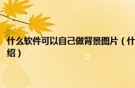 什么软件可以自己做背景图片（什么软件可以制作照片背景相关内容简介介绍）