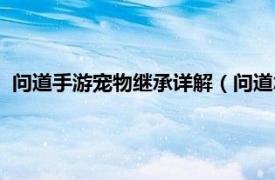 问道手游宠物继承详解（问道怎么继承宠物相关内容简介介绍）