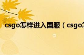 csgo怎样进入国服（csgo怎么进国服相关内容简介介绍）