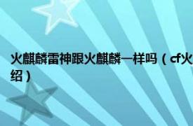 火麒麟雷神跟火麒麟一样吗（cf火麒麟雷神和火麒麟的区别相关内容简介介绍）