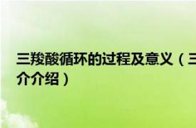 三羧酸循环的过程及意义（三羧酸循环的过程是什么相关内容简介介绍）