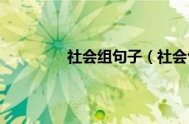 社会组句子（社会句相关内容简介介绍）