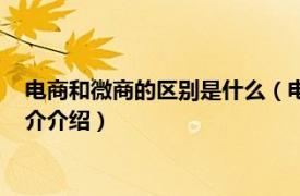 电商和微商的区别是什么（电商与微商的区别是什么相关内容简介介绍）