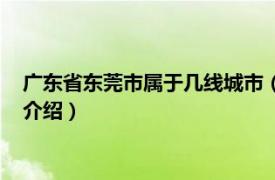 广东省东莞市属于几线城市（东莞市属于几线城市相关内容简介介绍）