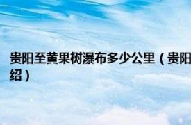 贵阳至黄果树瀑布多少公里（贵阳到黄果树瀑布有多少公里相关内容简介介绍）