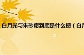 白月光与朱砂痣到底是什么梗（白月光朱砂痣是什么梗相关内容简介介绍）