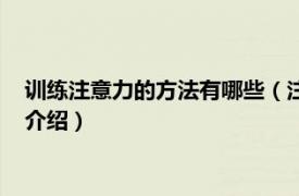 训练注意力的方法有哪些（注意力训练的十个方法相关内容简介介绍）