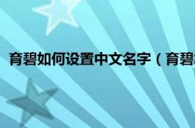 育碧如何设置中文名字（育碧怎么设置中文相关内容简介介绍）