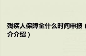 残疾人保障金什么时间申报（残疾人保障金申报时间相关内容简介介绍）