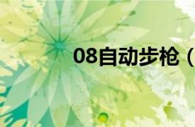 08自动步枪（07式自动手枪）