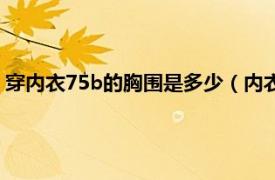 穿内衣75b的胸围是多少（内衣75b胸围多大相关内容简介介绍）