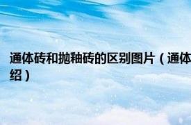 通体砖和抛釉砖的区别图片（通体砖和抛釉砖的区别是什么相关内容简介介绍）