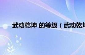 武动乾坤 的等级（武动乾坤等级划分相关内容简介介绍）