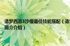 造梦西游3沙僧最佳技能搭配（造梦西游沙僧技能最佳搭配是什么相关内容简介介绍）