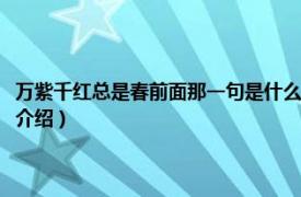 万紫千红总是春前面那一句是什么（万紫千红总是春的上一句相关内容简介介绍）