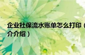 企业社保流水账单怎么打印（社保流水账单怎么打印相关内容简介介绍）