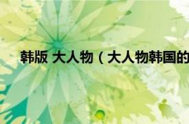 韩版 大人物（大人物韩国的版本叫什么相关内容简介介绍）