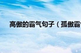 高傲的霸气句子（孤傲霸气的语录相关内容简介介绍）