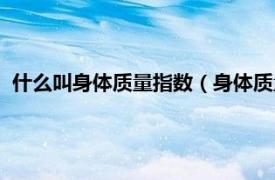 什么叫身体质量指数（身体质量指数怎么算相关内容简介介绍）