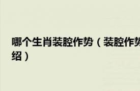 哪个生肖装腔作势（装腔作势搞动作是什么生肖相关内容简介介绍）