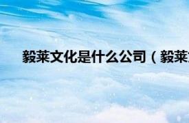 毅莱文化是什么公司（毅莱文化是什么相关内容简介介绍）