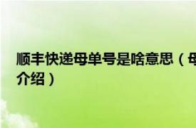 顺丰快递母单号是啥意思（母单号是什么意思顺丰相关内容简介介绍）