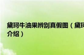 黛珂牛油果辨别真假图（黛珂牛油果怎样辨别真伪相关内容简介介绍）