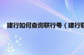 建行如何查询联行号（建行联行号怎么查相关内容简介介绍）