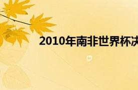 2010年南非世界杯决赛荷兰vs西班牙观后感