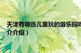 天津有哪些儿童玩的游乐园呀（天津市有什么游乐园相关内容简介介绍）