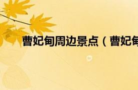 曹妃甸周边景点（曹妃甸区景点相关内容简介介绍）