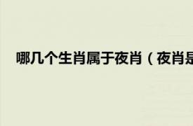 哪几个生肖属于夜肖（夜肖是哪几个生肖相关内容简介介绍）