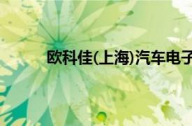 欧科佳(上海)汽车电子设备有限公司（欧科佳）