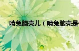 啃兔脑壳儿（啃兔脑壳是什么意思相关内容简介介绍）