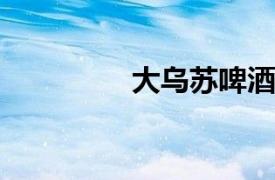 大乌苏啤酒相关内容简介