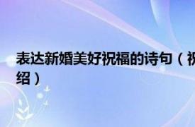 表达新婚美好祝福的诗句（祝福新婚的唯美诗句相关内容简介介绍）