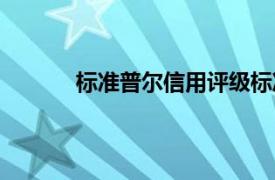 标准普尔信用评级标准（标准普尔信用评级）