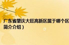 广东省肇庆大旺高新区属于哪个区（肇庆市大旺高新区属于哪个区相关内容简介介绍）