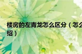 楼房的左青龙怎么区分（怎么确定楼房左青龙右相关内容简介介绍）