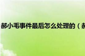 郝小毛事件最后怎么处理的（郝小毛起诉了吗相关内容简介介绍）