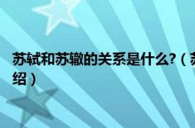 苏轼和苏辙的关系是什么?（苏辙是苏轼的什么人相关内容简介介绍）