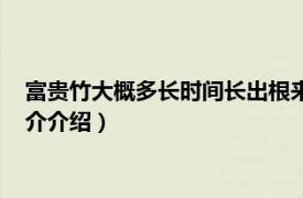 富贵竹大概多长时间长出根来（富贵竹多长时间生根相关内容简介介绍）