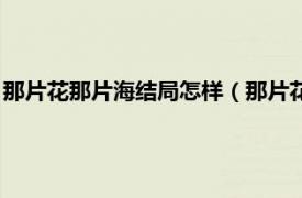 那片花那片海结局怎样（那片花那片海大结局相关内容简介介绍）