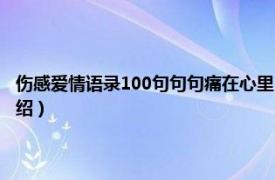 伤感爱情语录100句句句痛在心里（爱情伤感语录痛到心里相关内容简介介绍）