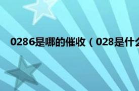 0286是哪的催收（028是什么公司的催收相关内容简介介绍）