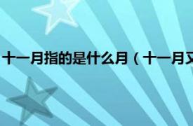 十一月指的是什么月（十一月又被称为什么月相关内容简介介绍）