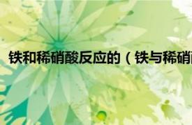 铁和稀硝酸反应的（铁与稀硝酸是什么反应相关内容简介介绍）