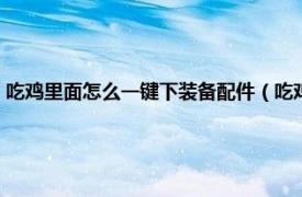 吃鸡里面怎么一键下装备配件（吃鸡神器怎么装上手机相关内容简介介绍）