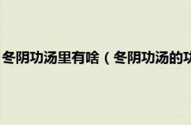 冬阴功汤里有啥（冬阴功汤的功是什么海产品相关内容简介介绍）