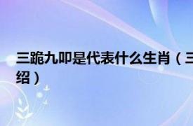 三跪九叩是代表什么生肖（三跪九叩是什么生肖相关内容简介介绍）